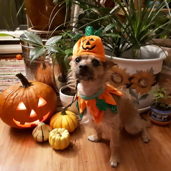 Meet your Posher, Jenn - Picture 1 of 1